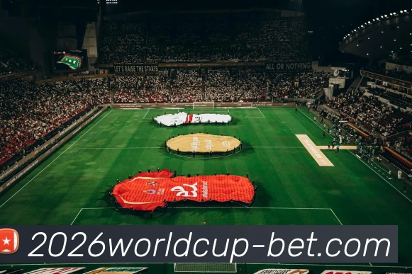 2026世界杯投注APP 封面图